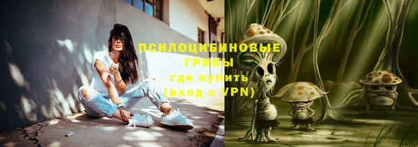 мяу мяу кристалл Гусь-Хрустальный