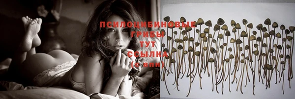 МДПВ Гусиноозёрск