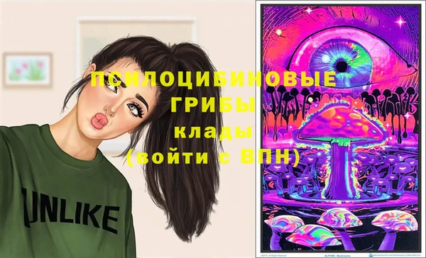 мяу мяу кристалл Гусь-Хрустальный