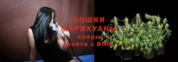 мяу мяу кристалл Гусь-Хрустальный
