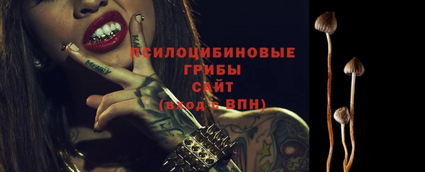 а пвп мука Гусев