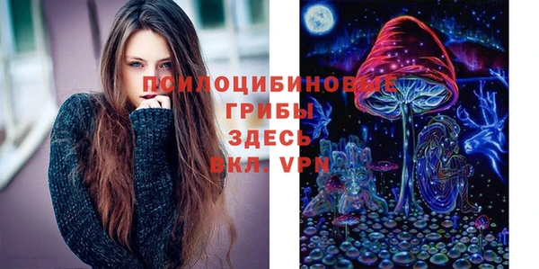а пвп мука Гусев