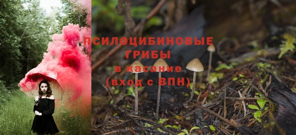 МДПВ Гусиноозёрск