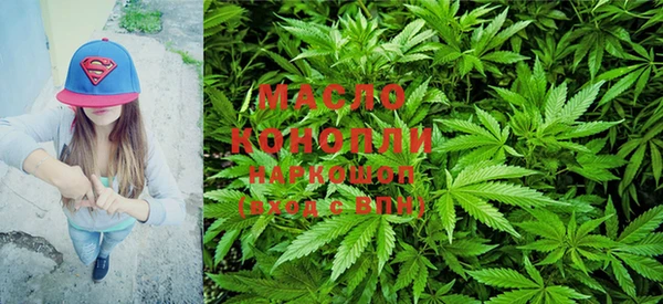 мяу мяу кристалл Гусь-Хрустальный