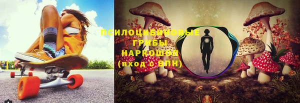 МДПВ Гусиноозёрск