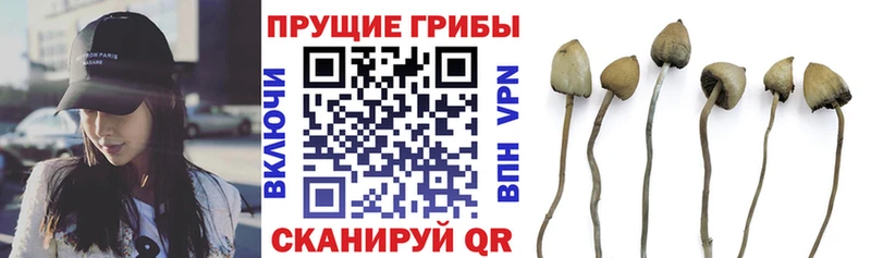 Псилоцибиновые грибы ЛСД OMG маркетплейс shop Telegram Теберда